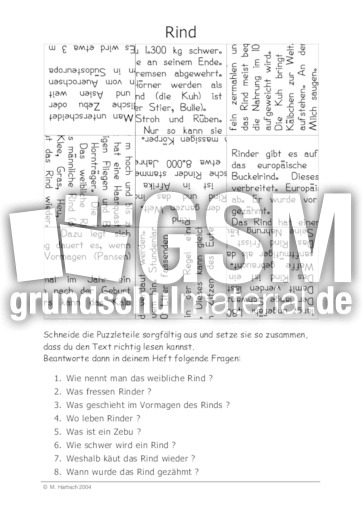 Rind.pdf